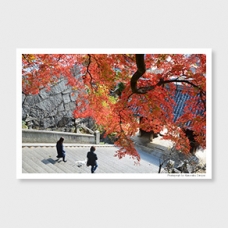 御袖天満宮の紅葉　‐post card‐