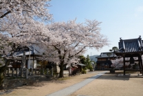 宝土寺