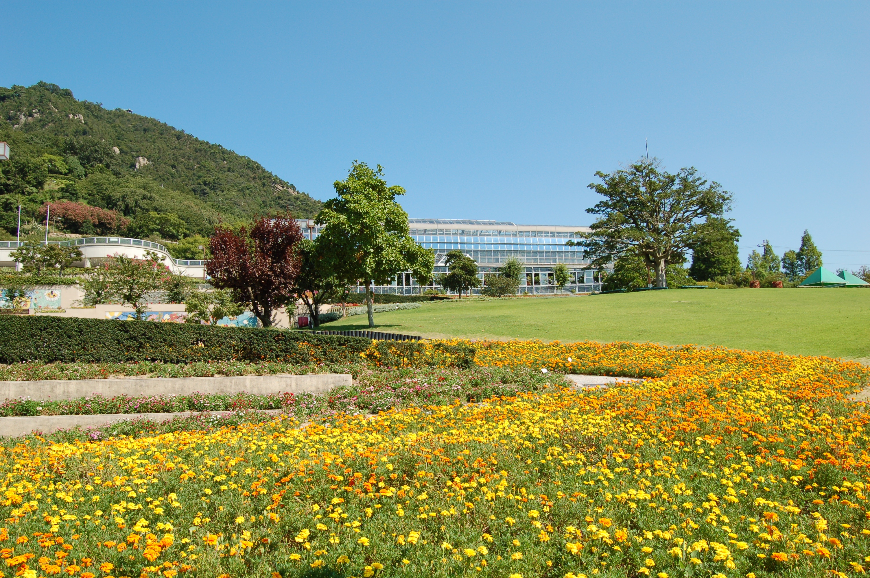 〔因島〕因島フラワーセンター