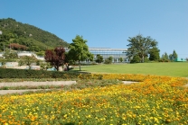 〔因島〕因島フラワーセンター