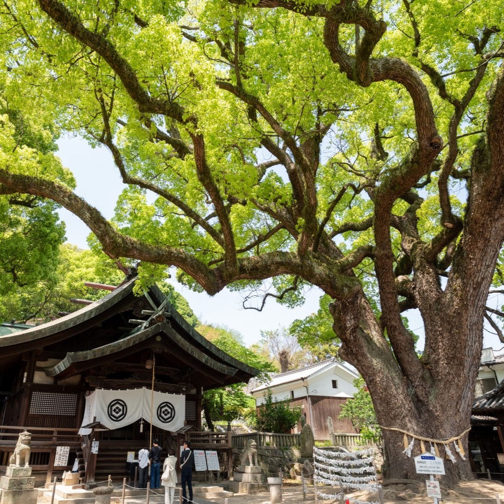 艮神社（うしとらじんじゃ）