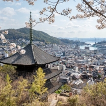 天寧寺三重塔越しの風景
