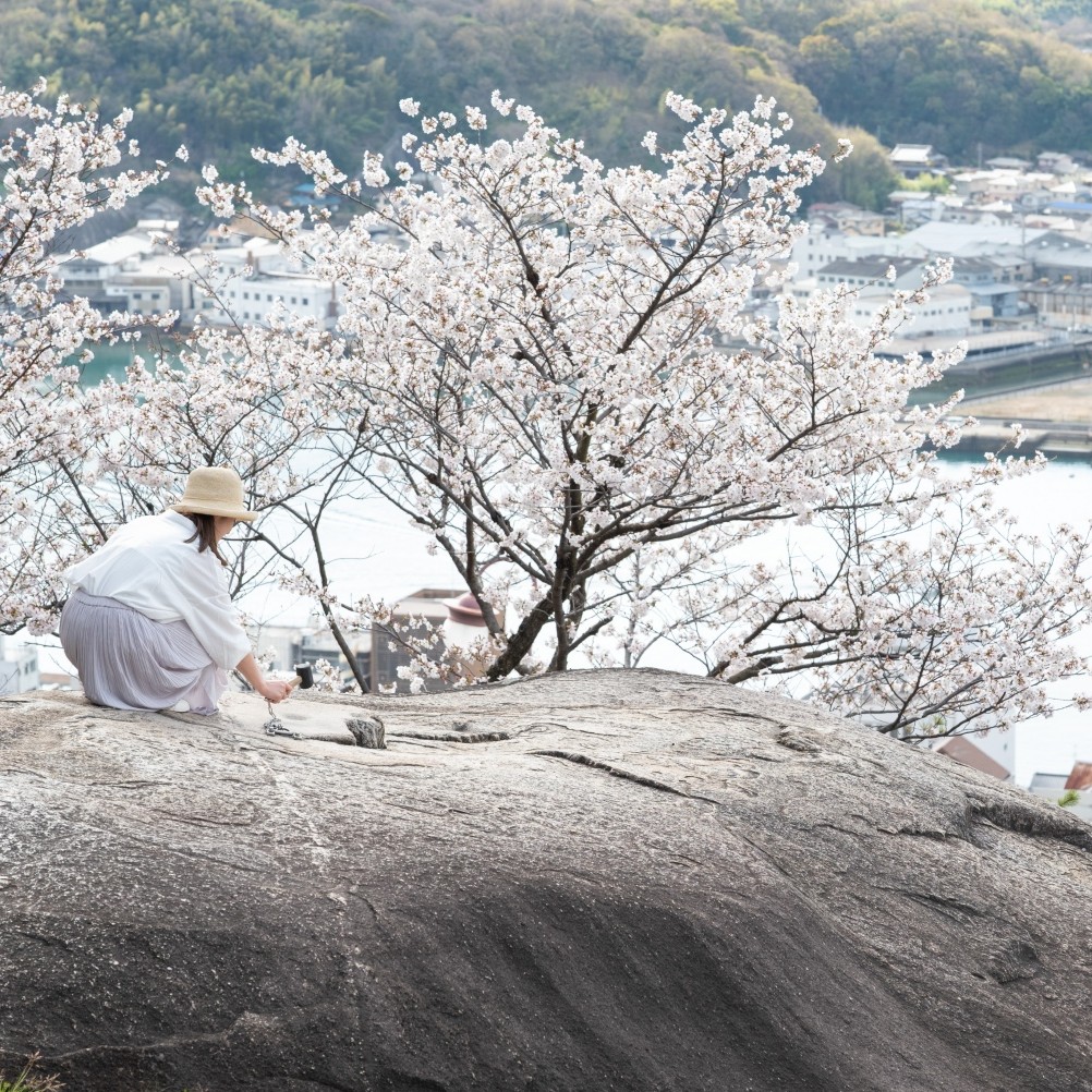 鼓岩（ポンポン岩）