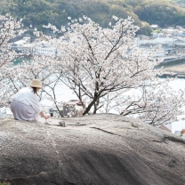 鼓岩（ポンポン岩）