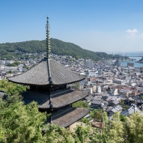 天寧寺三重塔越しの風景