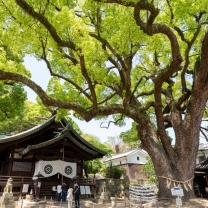 艮神社（うしとらじんじゃ）