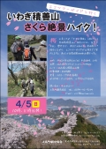 【愛媛県・上島】いわぎ積善山さくら絶景ハイク！