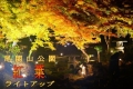 【三次】尾関山公園紅葉ライトアップ