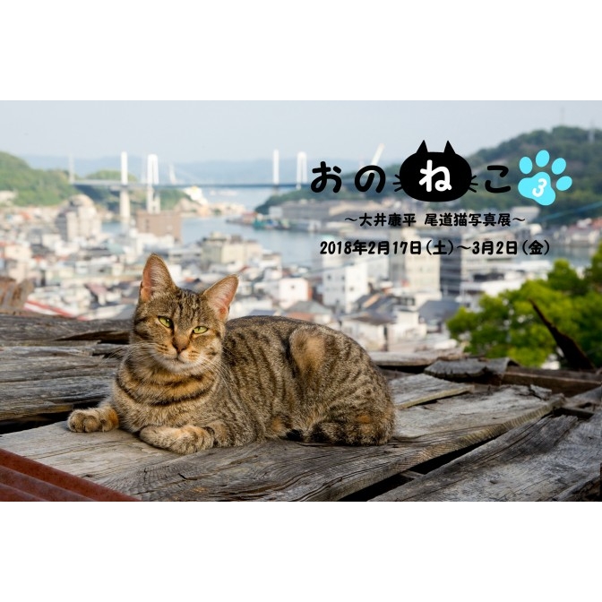 大井康平 尾道猫写真展 おのねこ3 カレンダー 観る 尾道市の観光情報