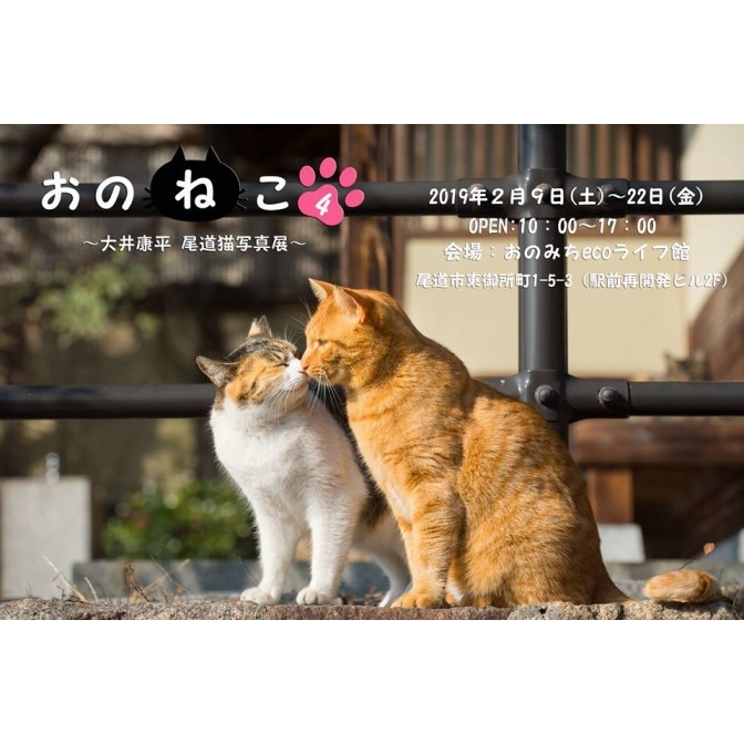 大井康平 ねこ写真展 おのねこ4 カレンダー 観る 尾道市の観光情報