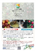 【庄原】たかの体験 たかのグリーンウォーク「りんごジャム作り体験」※申込締切 9月19日