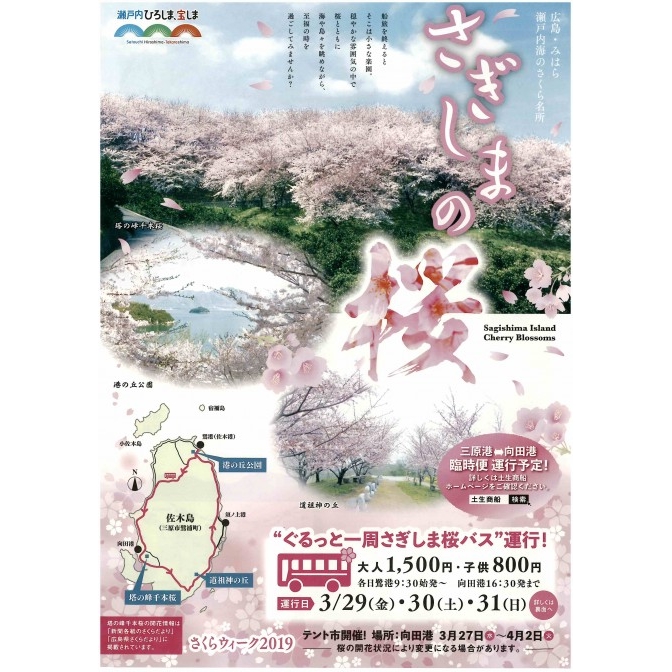 【終了】【三原】さぎしまの桜