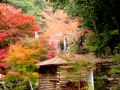 【府中】三郎の滝紅葉まつり