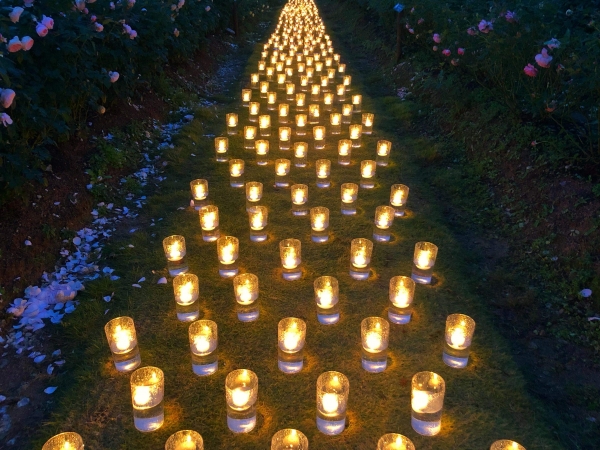 世羅高原キャンドルナイト（期間中の金・土・日限定）