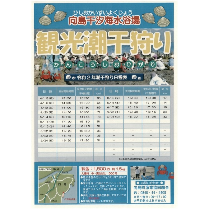 向島干汐(ひしお)海水浴場「観光潮干狩り」