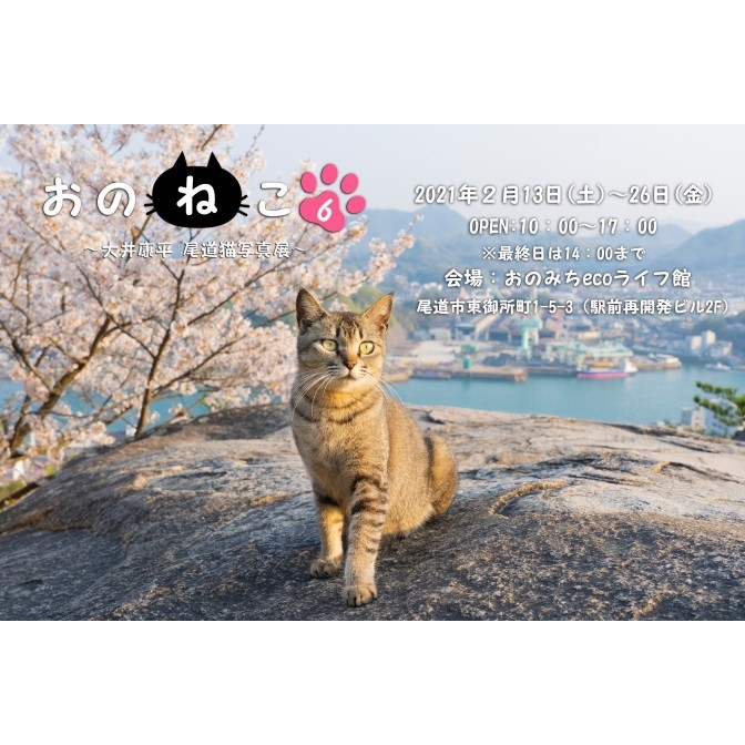 おのねこ6～大井康平 尾道猫写真展