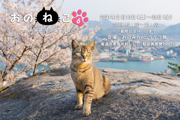 おのねこ6～大井康平 尾道猫写真展