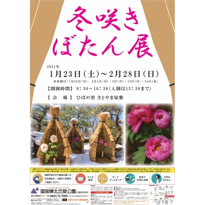 冬咲きぼたん展