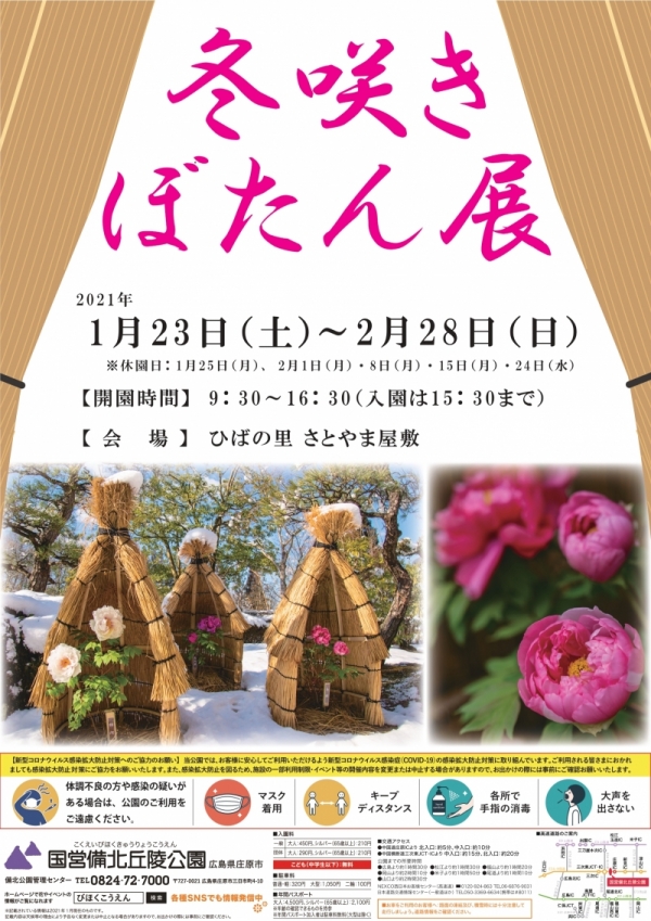 冬咲きぼたん展