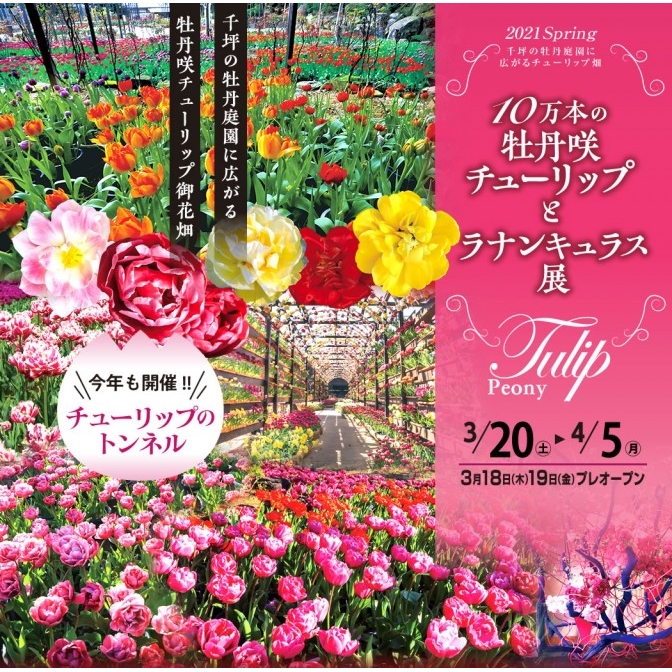 日本庭園 由志園「10万本の牡丹咲チューリップとラナンキュラス展2021」