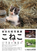 尾道市立美術館「岩合光昭写真展ーこねこ」