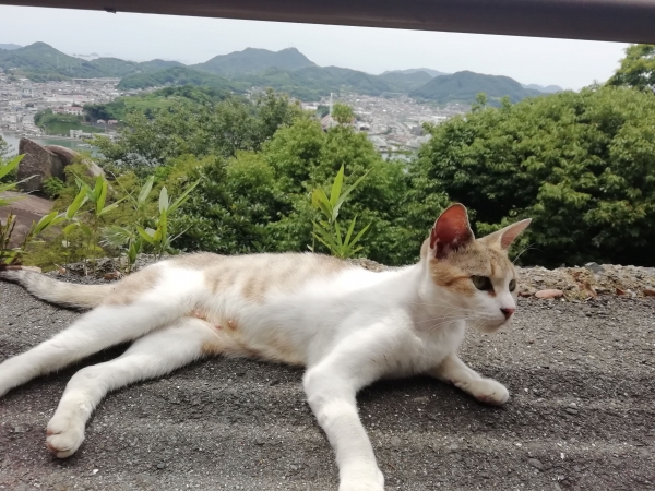 【開催延期】尾道フォトウォーク