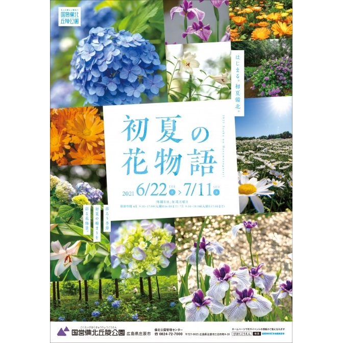 初夏の花物語