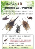 標本でみる「世界のカブトムシ、クワガタ」展