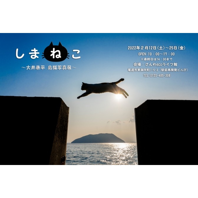 「しまねこ」 大井康平 島猫写真展