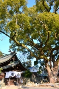 艮神社「節分祭」