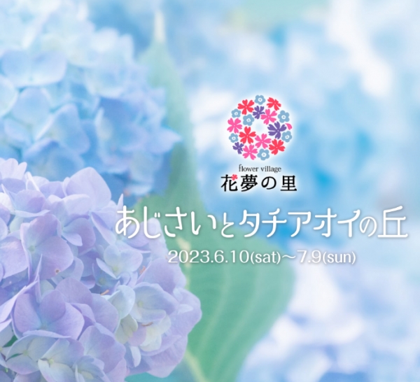 花夢の里　あじさいとタチアオイの丘