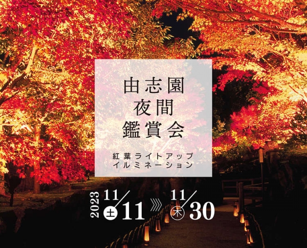 由志園夜間鑑賞会 紅葉ライトアップイルミネーション