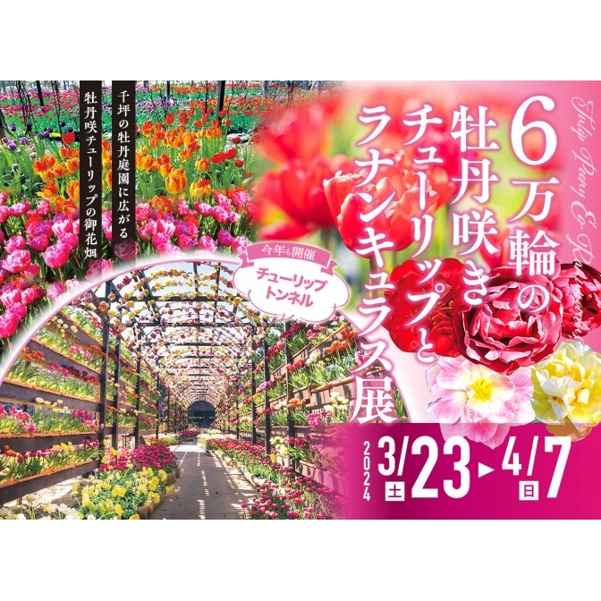 6 万輪の牡丹咲きチューリップとラナンキュラス展｜日本庭園由志園