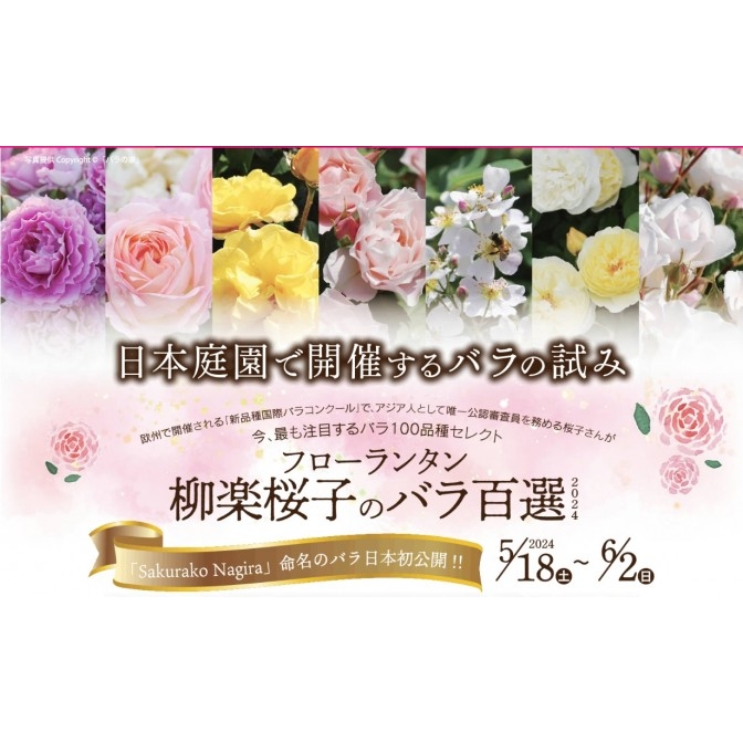 2024 フローランタンー柳楽桜子のバラ百選ー｜日本庭園由志園
