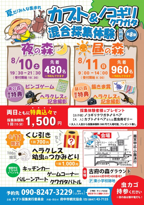 カブト＆ノコギリクワガタ混合採集体験