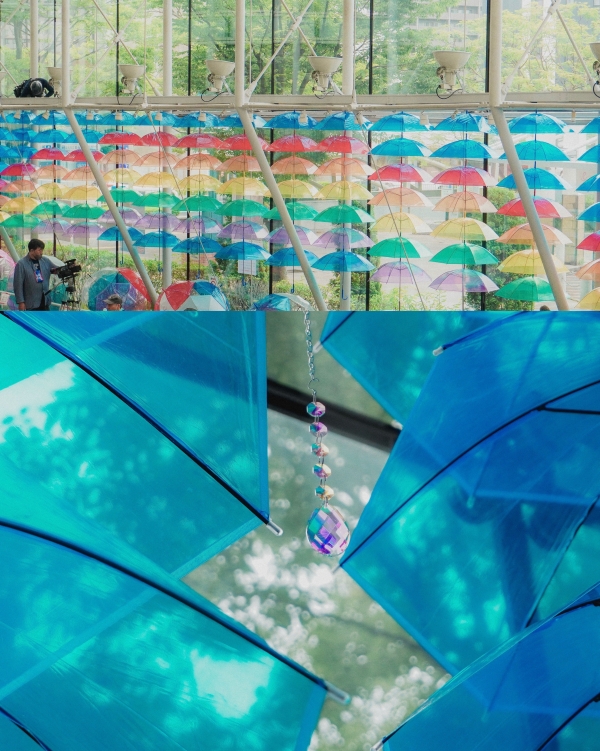 縁雫アンブレラスカイ 2024 in 松江テルサ