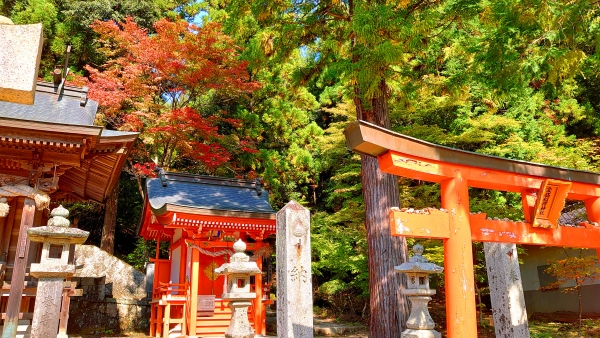 府中八幡もみじの森紅葉まつり