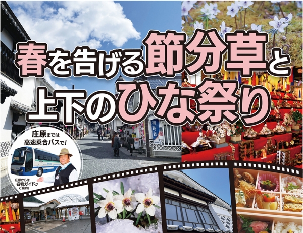 冬の庄原≪日帰り≫ツアー春を告げる節分草と上下のひな祭り