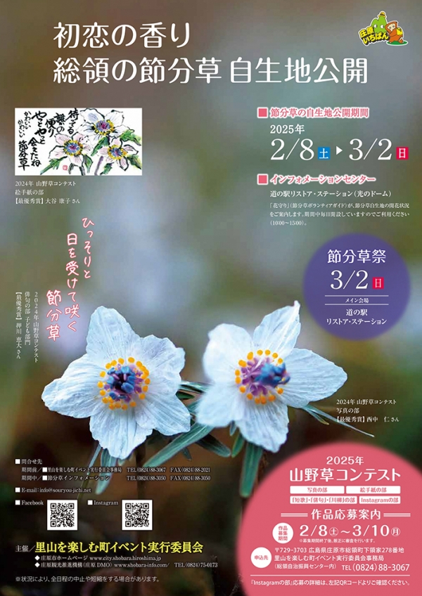 初恋の香り　節分草自生地公開／節分草祭り