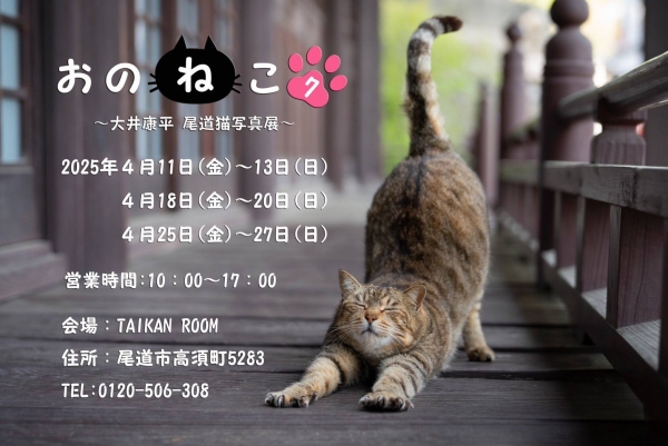 大井康平 尾道猫写真展「おのねこ7」【期間中の金∼日】