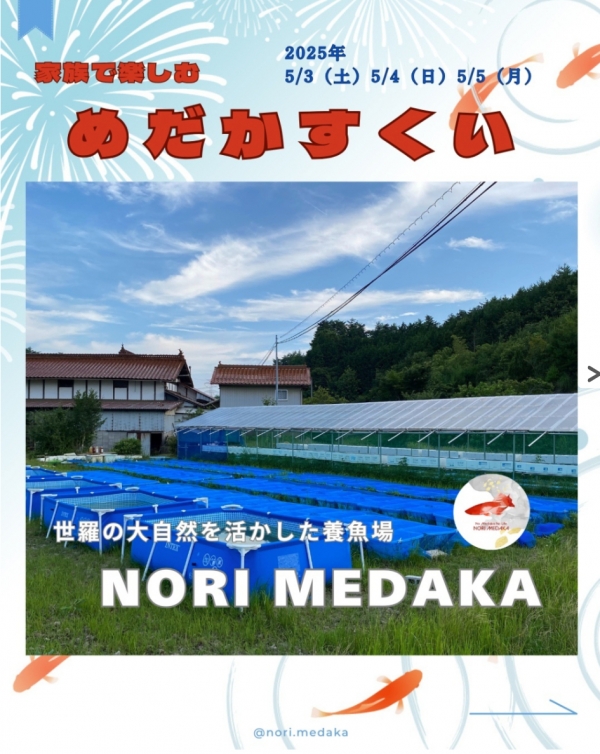 養魚場NORI MEDAKA「家族で楽しむめだかすくい」開催