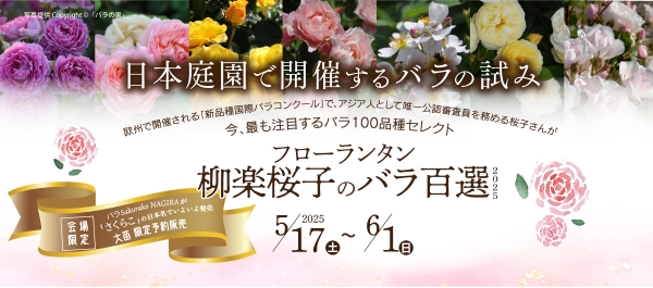 2025 フローランタンー柳楽桜子のバラ百選ー｜日本庭園由志園