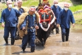広島県無形民俗文化財　比和牛供養田植