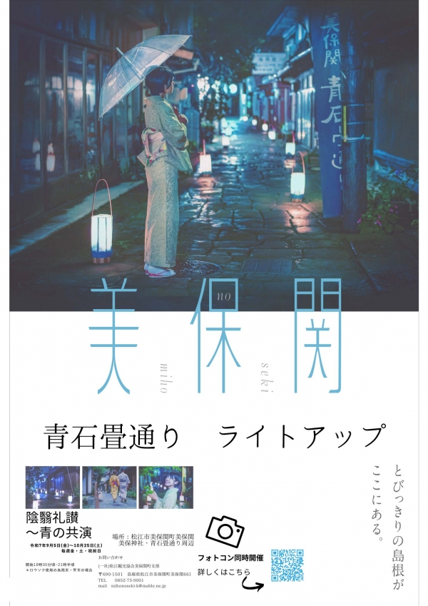 青石畳通りライトアップ【期間中の金・土・祝前日】