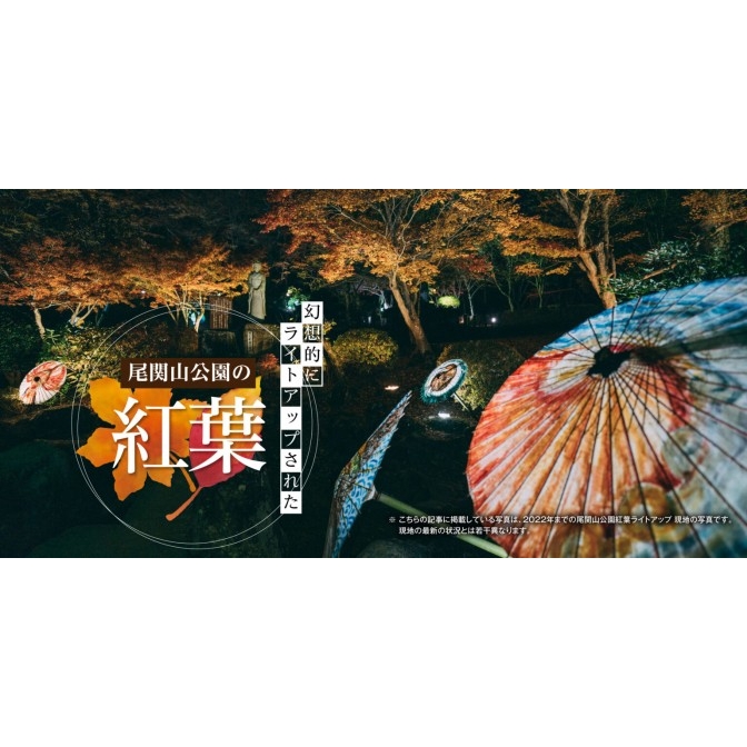 尾関山公園 紅葉ライトアップ
