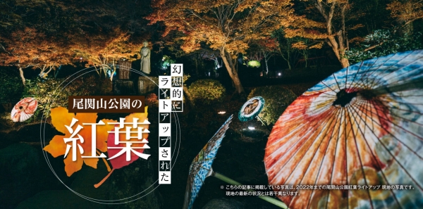 尾関山公園 紅葉ライトアップ