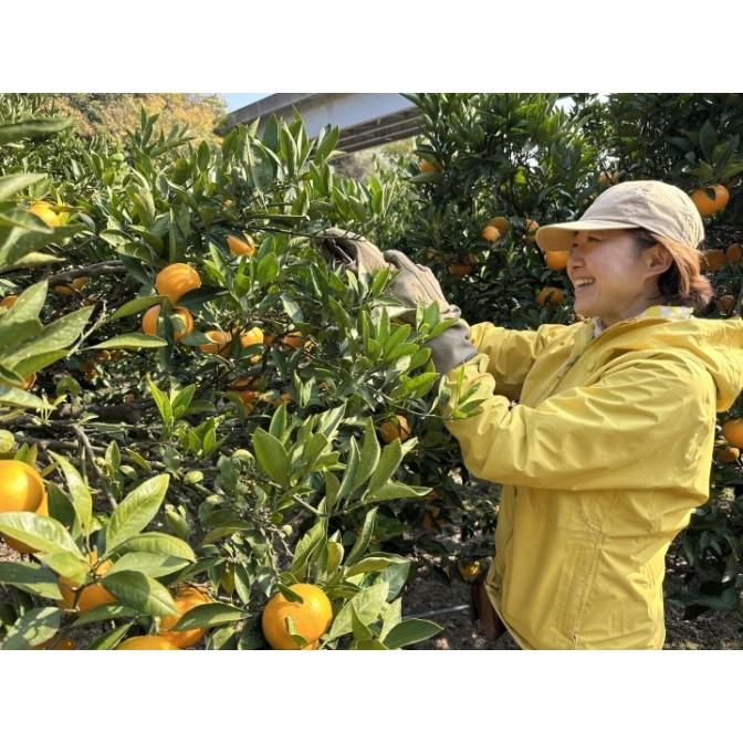 みんなで全もぎ！ シトサポ1DAY in 高根島