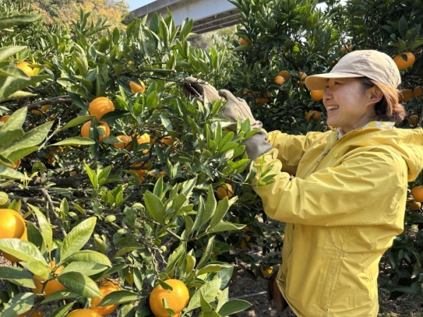 【受付終了】みんなで全もぎ！ シトサポ1DAY in 高根島