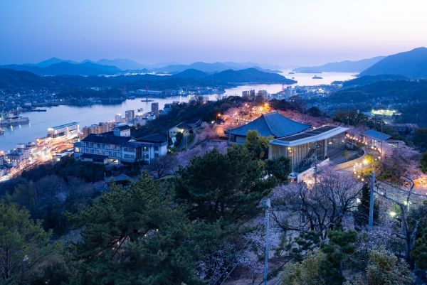 夜桜のライトアップ