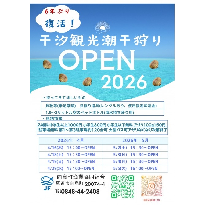 向島干汐(ひしお)海水浴場「観光潮干狩り」